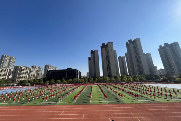 九江小学八里湖校区图片