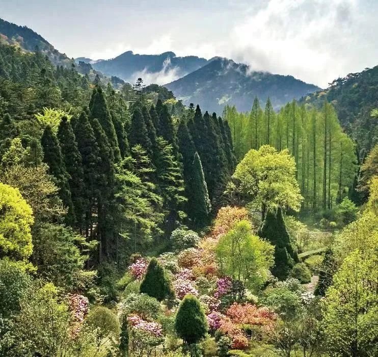 图片来源：中国科学院庐山植物园