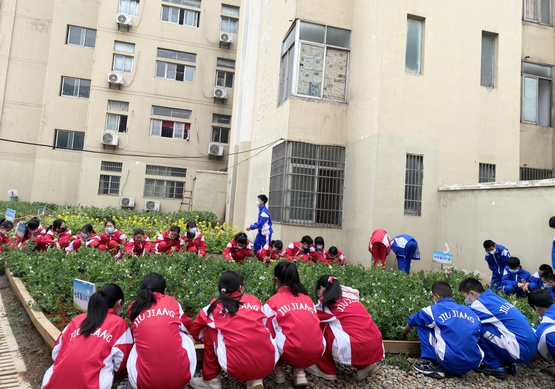 九江市十一中学生在劳动实践基地劳动.jpg