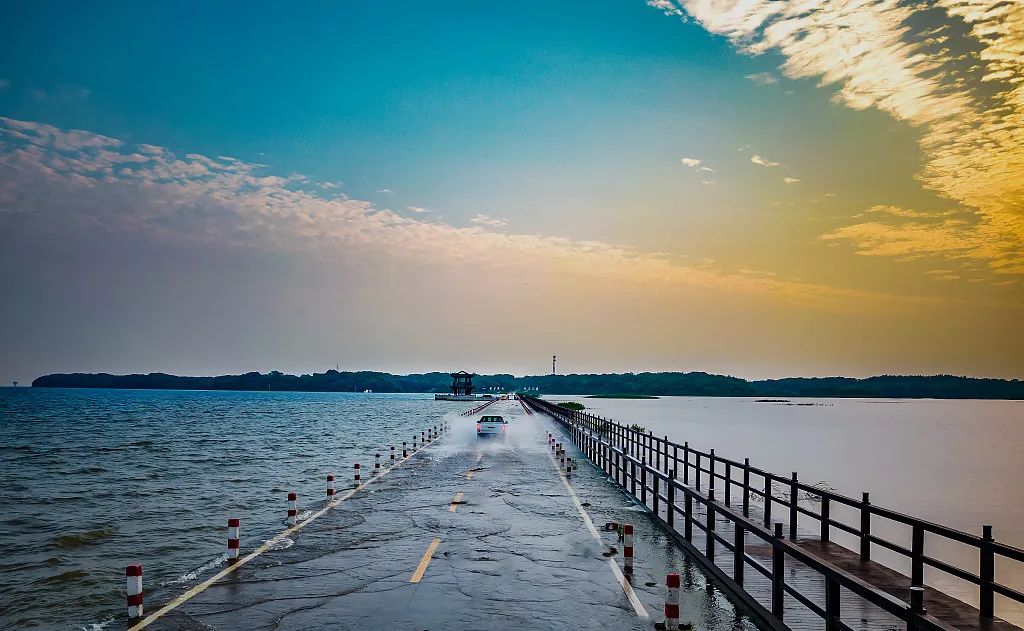鄱阳湖最佳观鸟季来临!就在九江这些地方