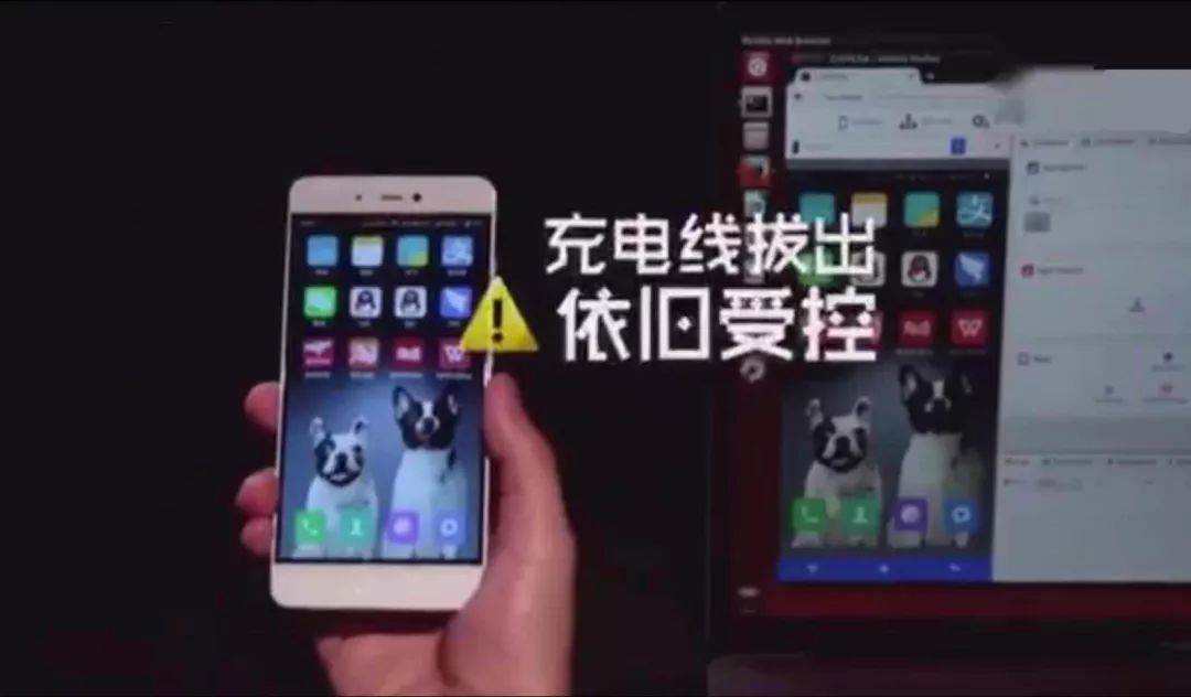 图片
