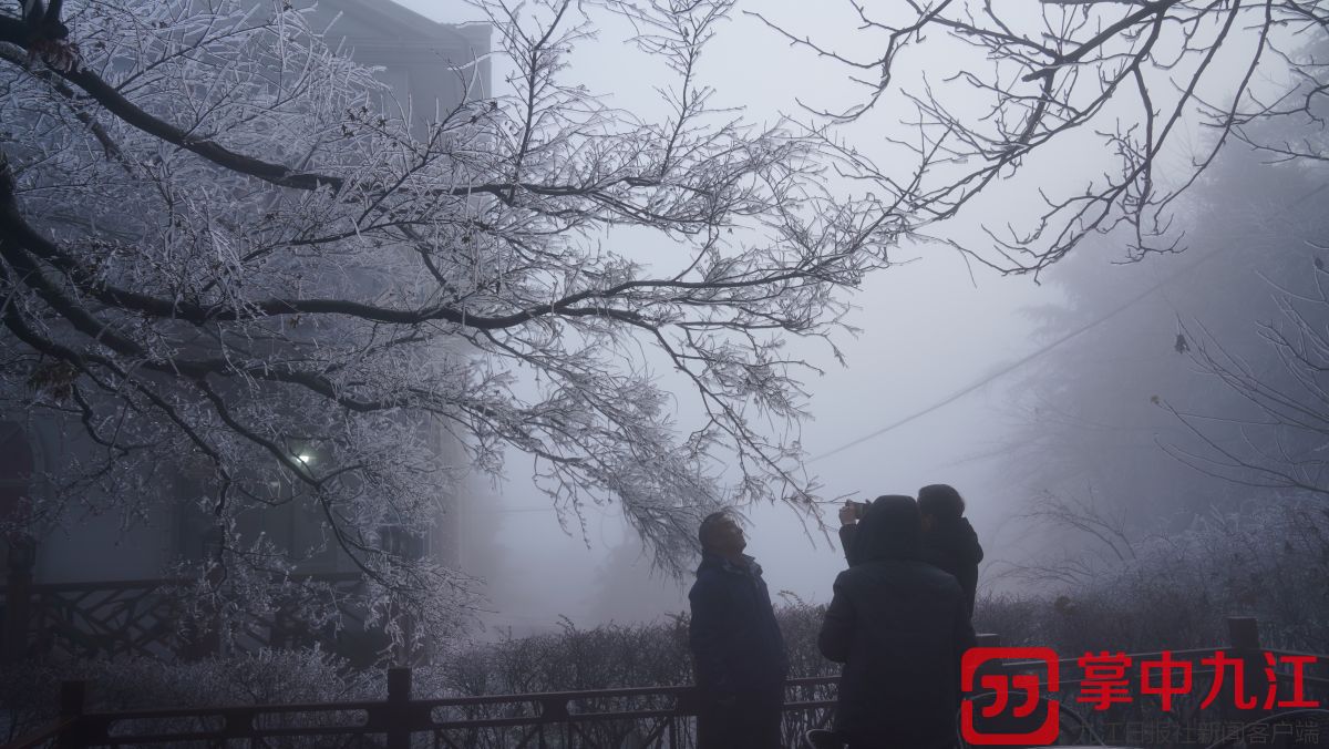 廬山出現今冬首場霧凇雲海