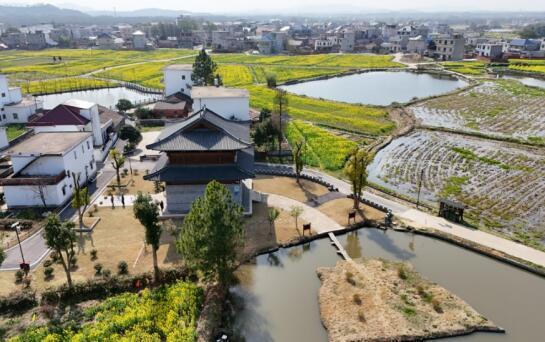 九江都昌县：油菜花开遍地金 星凤古楼焕新景