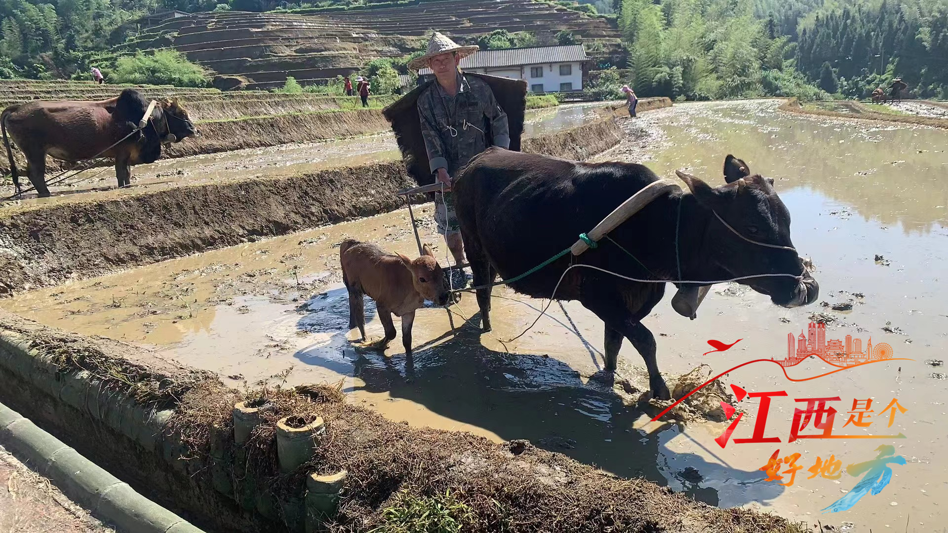 “江西是个好地方——上堡梯田云上开犁”网络主题宣传活动启动_fororder_11