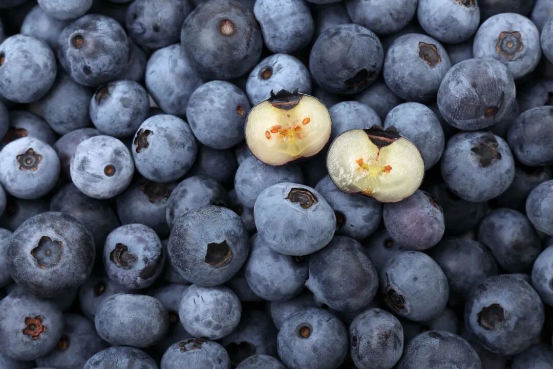 蓝莓.jpg