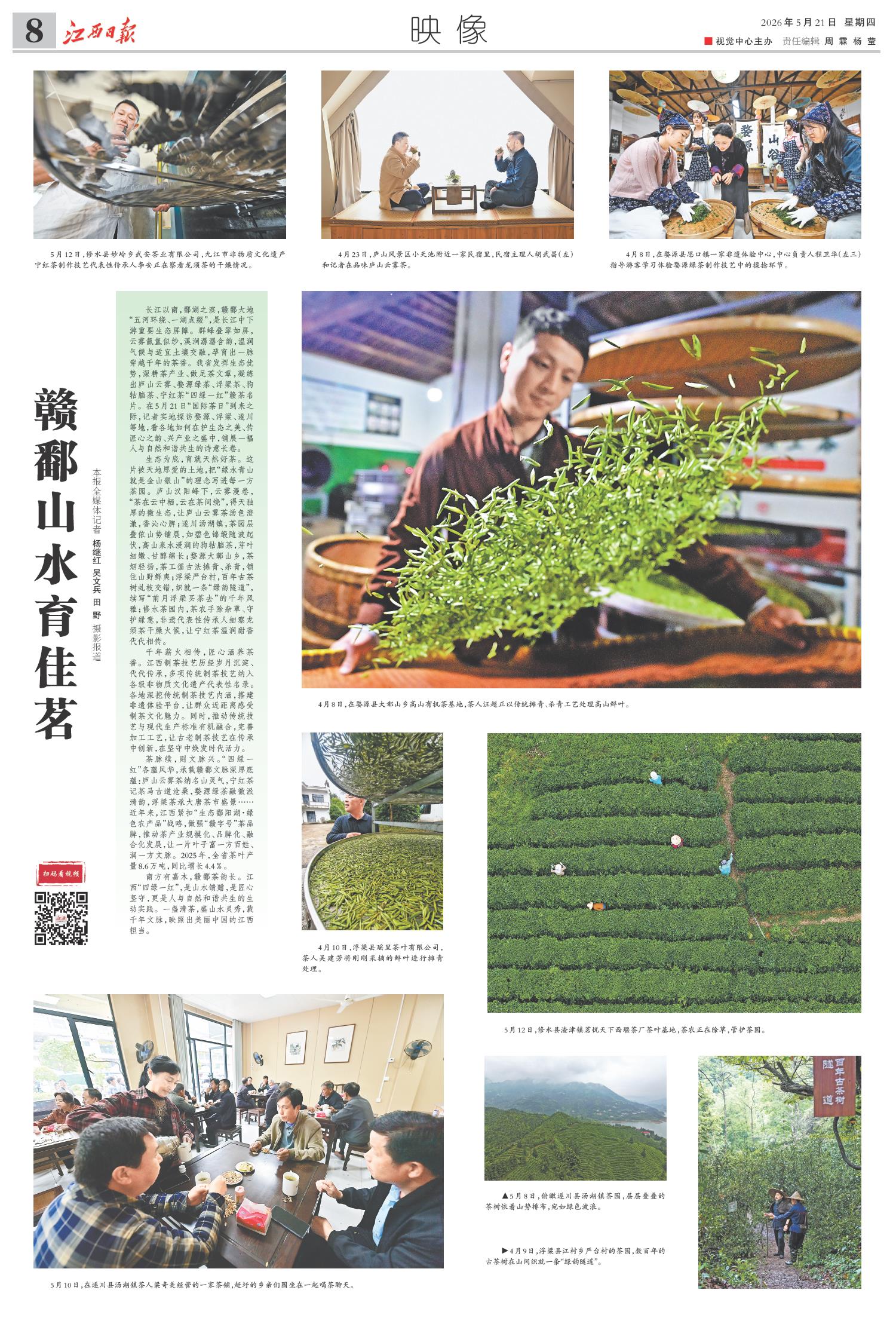 赣鄱山水育佳茗